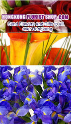 www.hongkongflorishopst.com