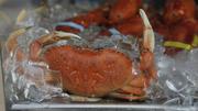 Quality Brown Crab For Sale in Ireland